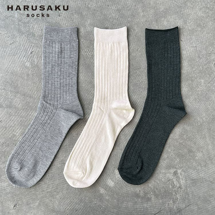 HARUSAKU 3色セット 定番無地リブソックス | DCOLLECTION (ディーコレクション)